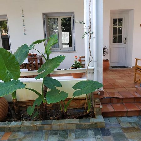 Zacharoula'S Home Chania  Eksteriør billede